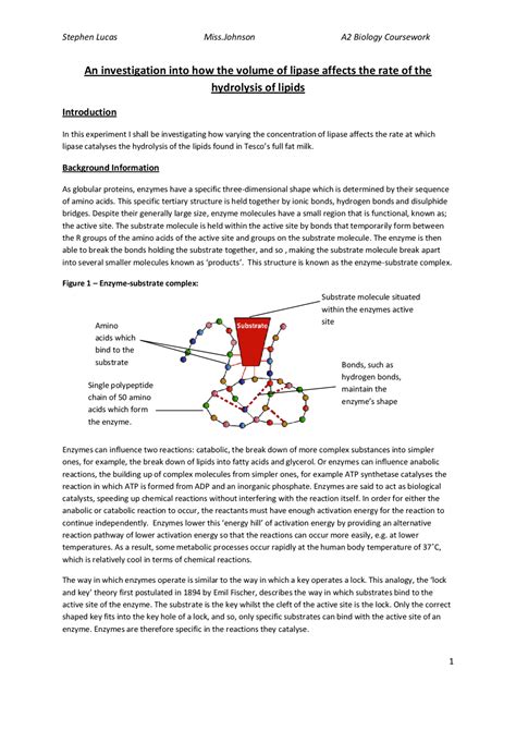 An investigation into how the concentration of lipase affects the.